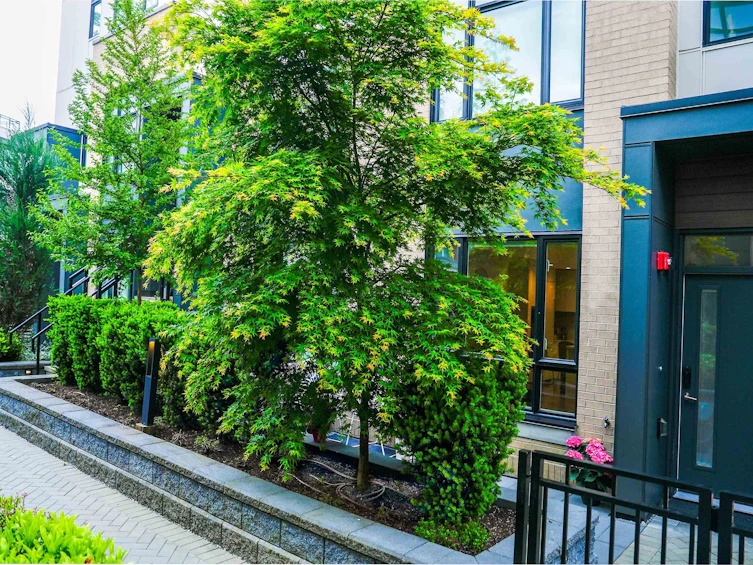 136-2035 Glenaire Drive, North Vancouver, BC, V7P 1Y2 - 27