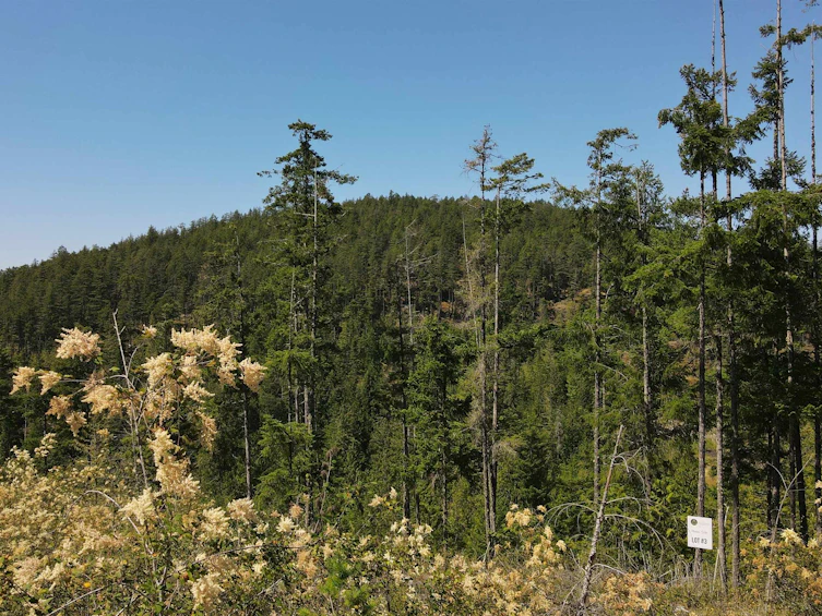 Lot 3-13803 Lee Road, Pender Harbour Egmont, BC, V0N 1S1 - 3