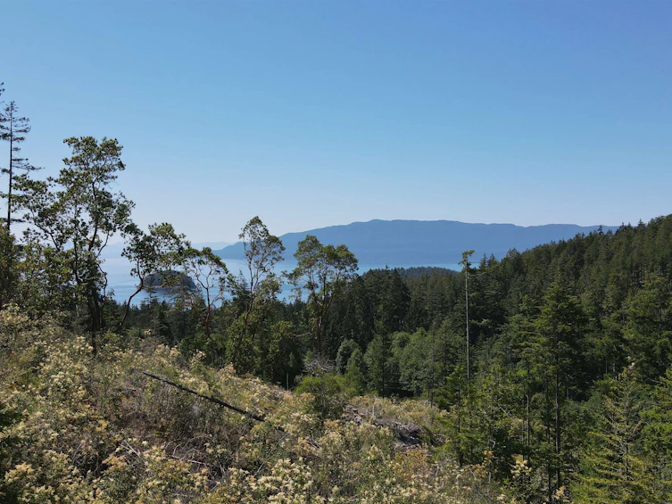 Lot 3-13803 Lee Road, Pender Harbour Egmont, BC, V0N 1S1 - 4