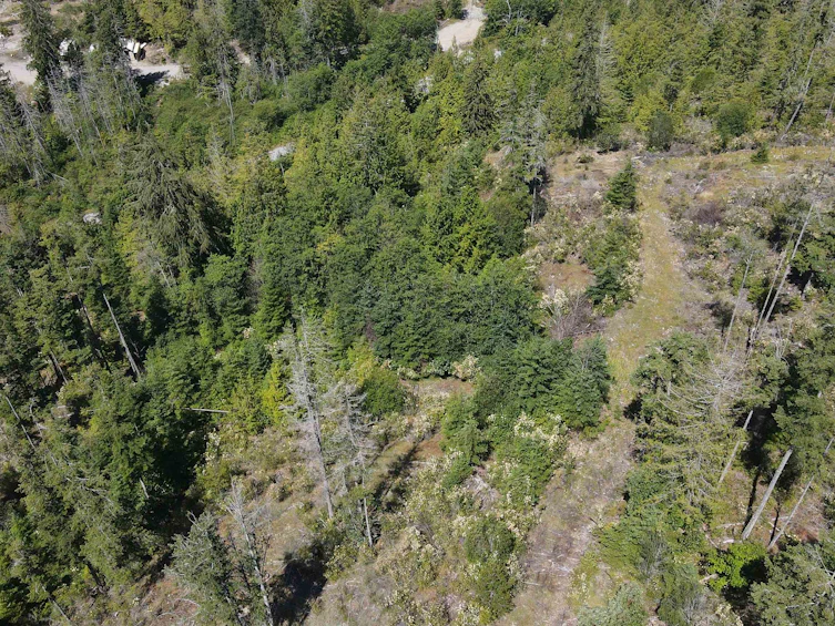 Lot 4-13803 Lee Road, Pender Harbour Egmont, BC, V0N 1S1 - 5