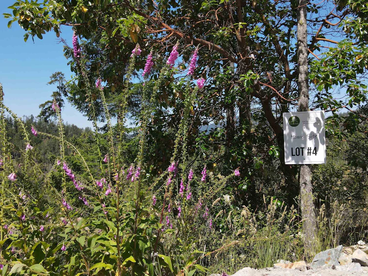Lot 4-13803 Lee Road, Pender Harbour Egmont, BC, V0N 1S1 - 4