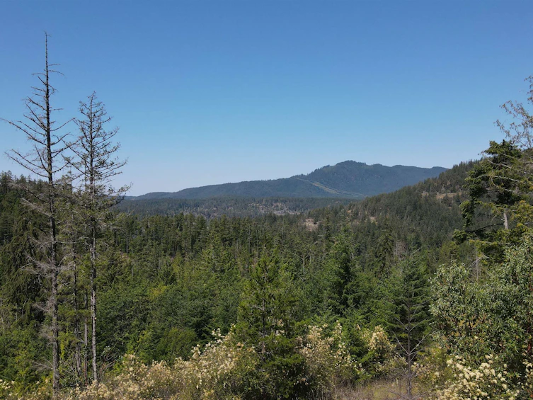 Lot 4-13803 Lee Road, Pender Harbour Egmont, BC, V0N 1S1 - 3