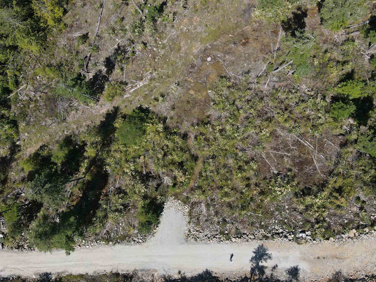 Lot 4-13803 Lee Road, Pender Harbour Egmont, BC, V0N 1S1 - 6