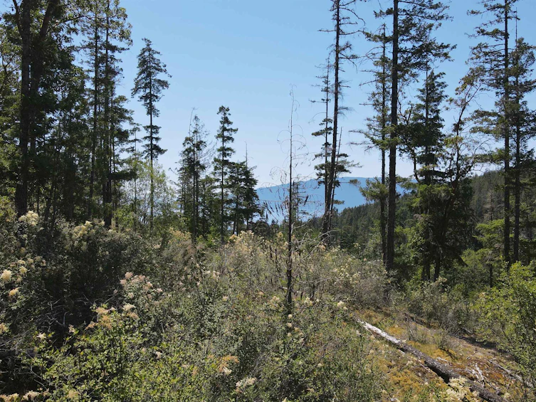 Lot 7-13803 Lee Road, Pender Harbour Egmont, BC, V0N 1S1 - 7