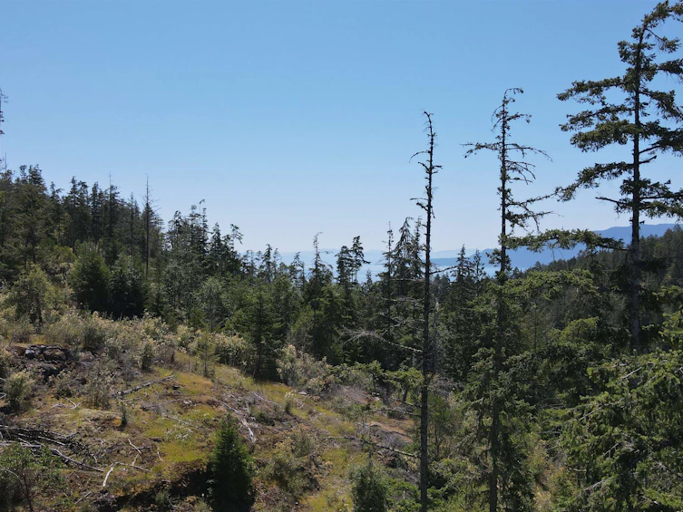 Lot 7-13803 Lee Road, Pender Harbour Egmont, BC, V0N 1S1 - 6