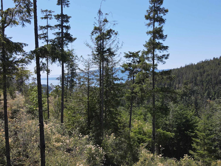 Lot 7-13803 Lee Road, Pender Harbour Egmont, BC, V0N 1S1 - 2