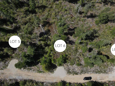 Lot 7-13803 Lee Road - 4