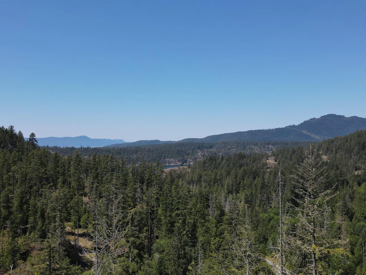 Lot 7-13803 Lee Road, Pender Harbour Egmont, BC, V0N 1S1 - 5