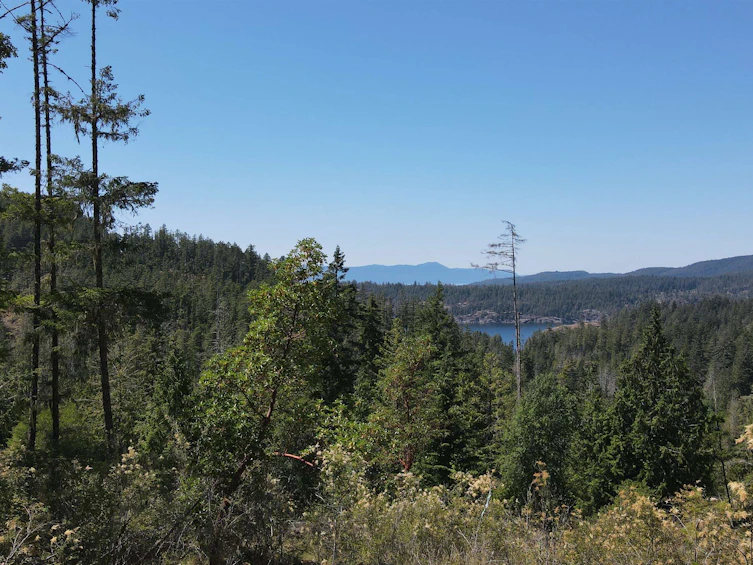 Lot 8-13803 Lee Road, Pender Harbour Egmont, BC, V0N 1S1 - 4