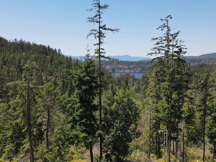 Lot 9-13803 Lee Road, Pender Harbour Egmont, BC, V0N 1S1 - 2