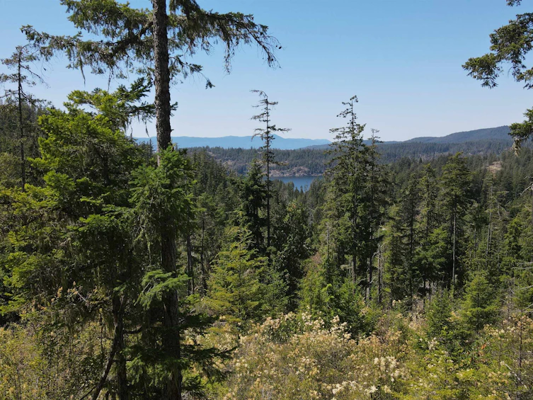 Lot 9-13803 Lee Road, Pender Harbour Egmont, BC, V0N 1S1 - 4