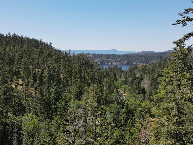 Lot 10-13803 Lee Road, Pender Harbour Egmont, BC, V0N 1S1 - 2