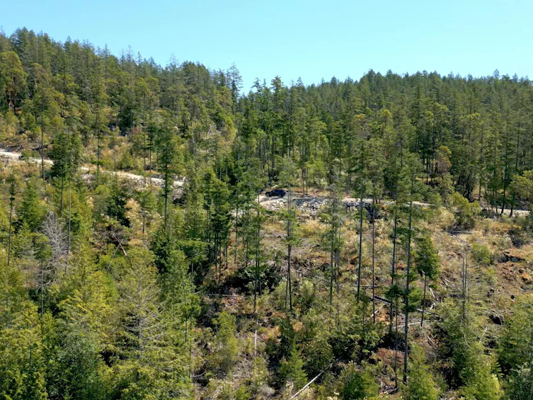 Lot 10-13803 Lee Road, Pender Harbour Egmont, BC, V0N 1S1 - 12