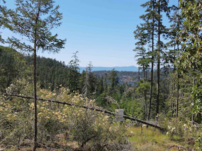 Lot 10-13803 Lee Road - 3