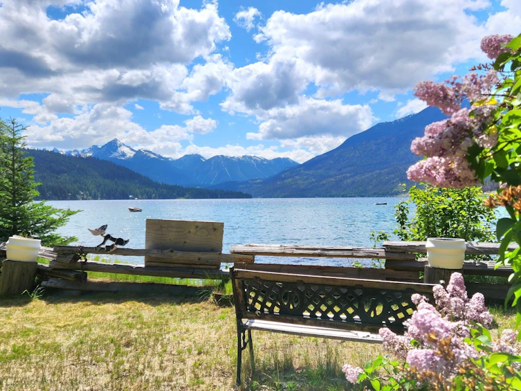 7385 Gun Lake Road, Whistler, BC, V0K 1P0 - 21