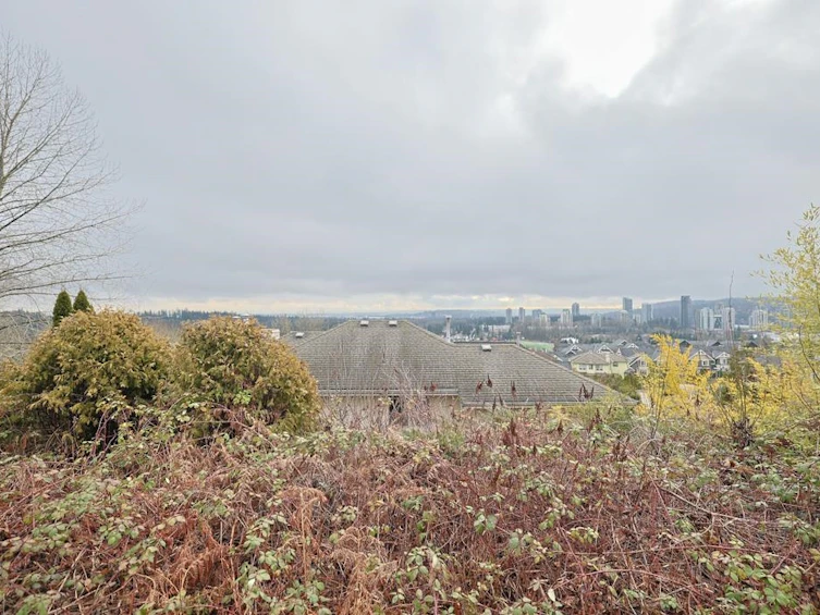 3102 Robson Drive, Coquitlam, BC, V3E 2R8 - 31