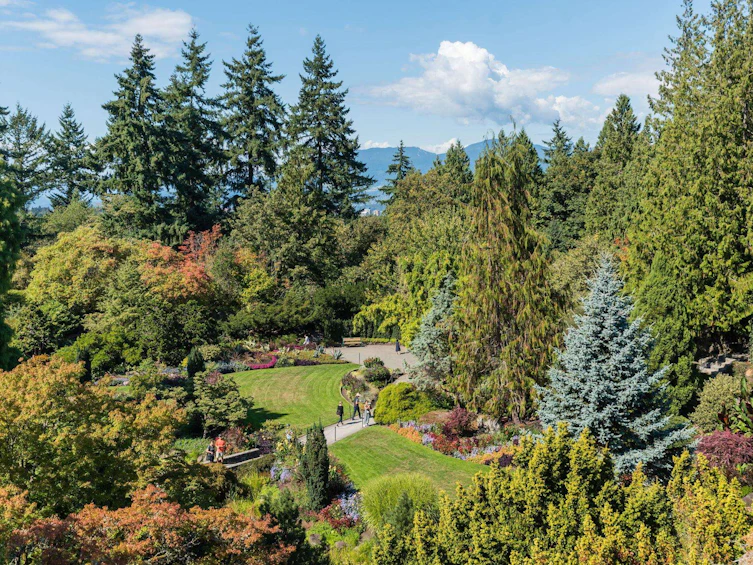 102-5007 Ash Street, Vancouver, BC, V5Z 0K9 - 33