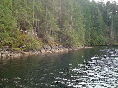 LOT 4 Hidden Basin - 2