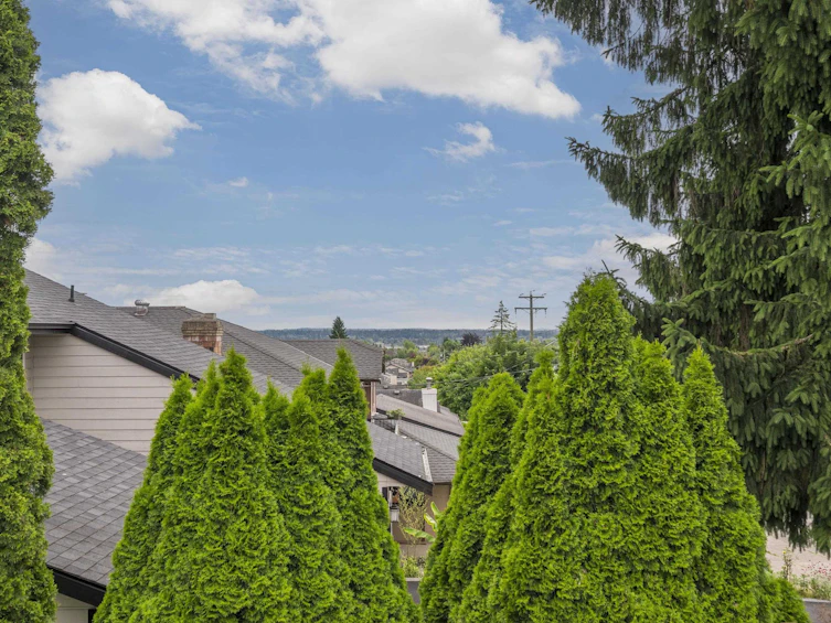 6798 197 Street, Langley, BC, V2Y 1A9 - 19