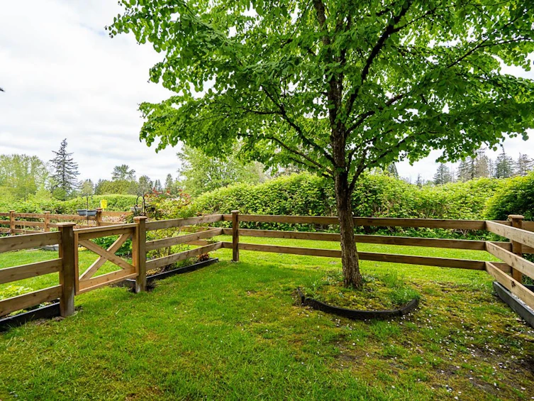 96-18983 72a Avenue, Surrey, BC, V4N 1A5 - 32
