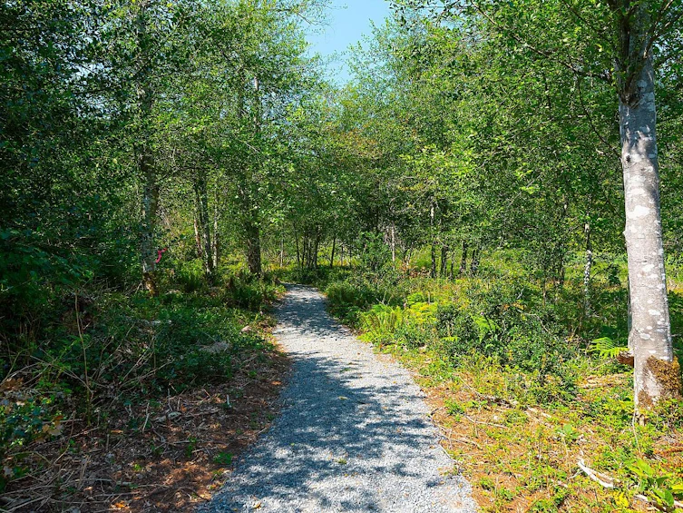 Lot 5 Forster Lane, Bowen Island, BC, V0N 1G2 - 14