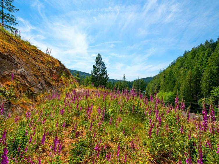 Lot 5 Forster Lane, Bowen Island, BC, V0N 1G2 - 4