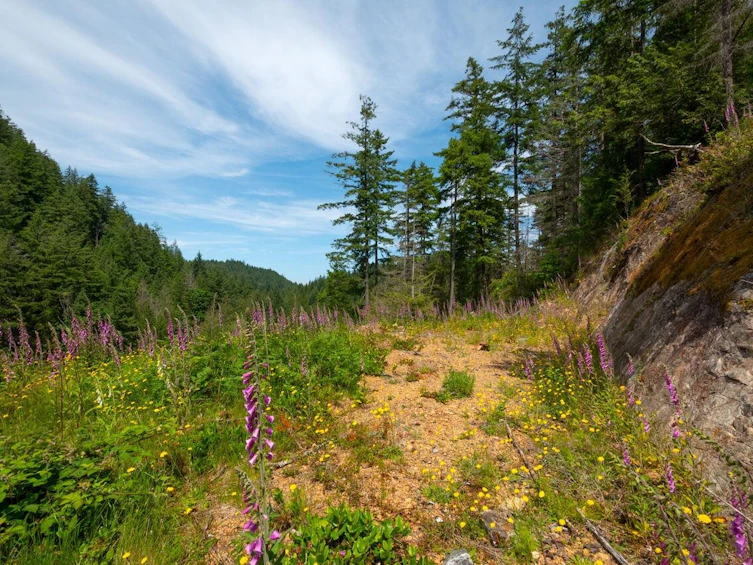 Lot 5 Forster Lane, Bowen Island, BC, V0N 1G2 - 6