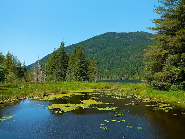 Lot 5 Forster Lane, Bowen Island, BC, V0N 1G2 - 13