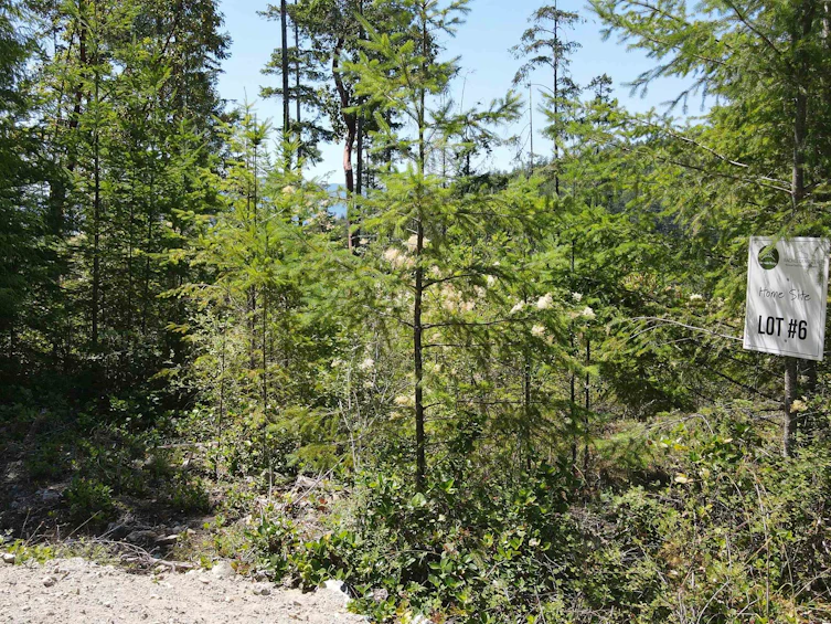 13803 Lee Road, Pender Harbour Egmont, BC, V0N 1S1 - 3
