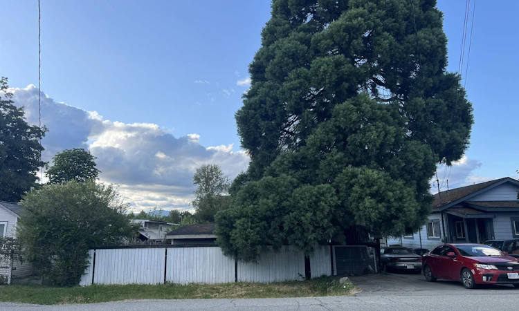 12473 114 Avenue