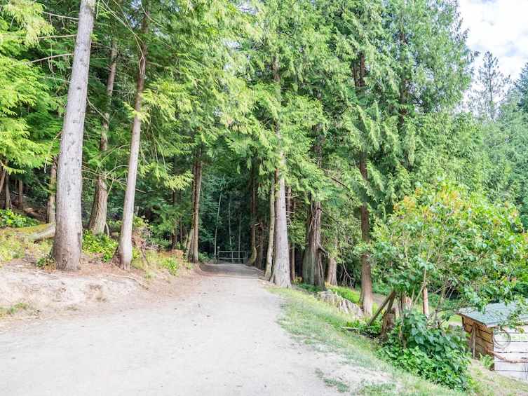 5574 Hooson Road, Pender Island, BC, V0N 2M1 - 38