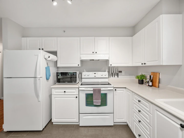 PH5-2485 Atkins Avenue, Port Coquitlam, BC, V3C 1Z1 - 17
