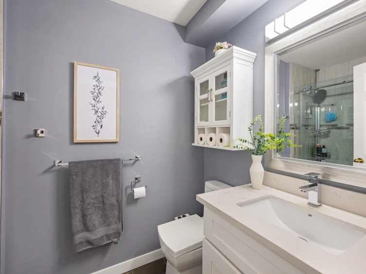 PH5-2485 Atkins Avenue, Port Coquitlam, BC, V3C 1Z1 - 29