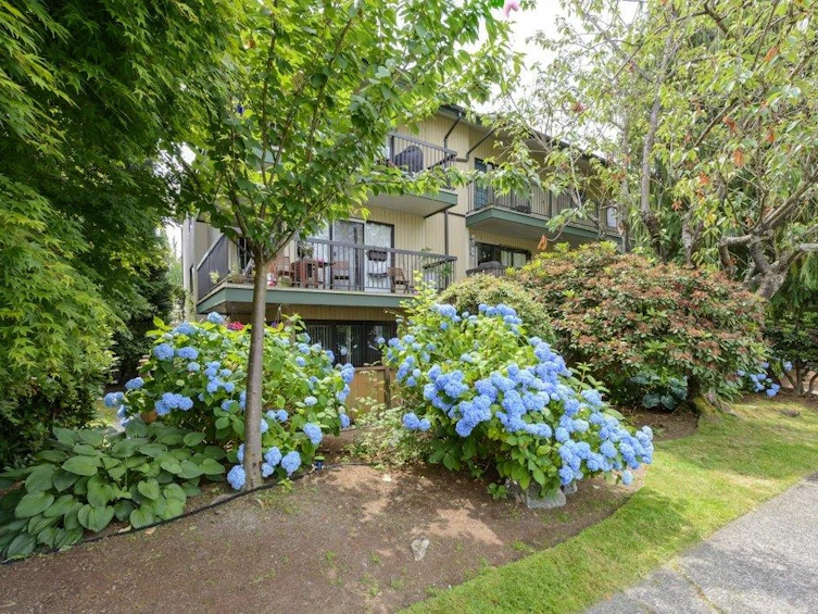 305-1622 Frances Street, Vancouver, BC, V5L 1Z4 - 24