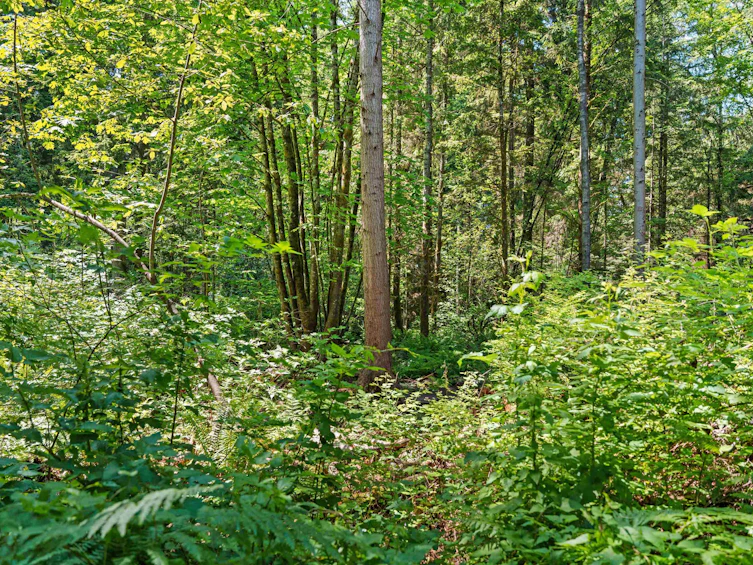 43-650 Roche Point Drive, North Vancouver, BC, V7H 2Z5 - 35