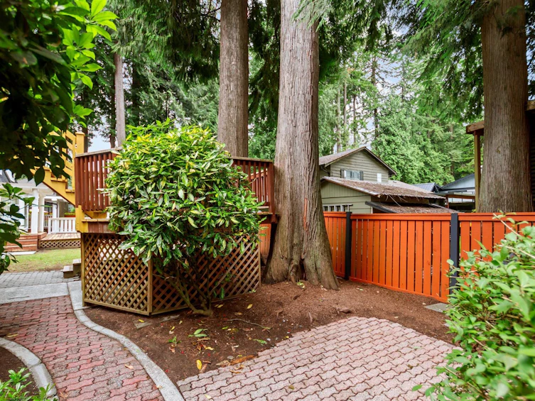 12409 214 Street, Maple Ridge, BC, V2X 5E5 - 36