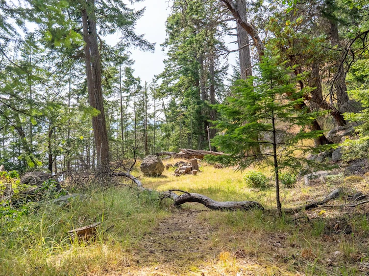 4843 Cutlass Court, Pender Island, BC, V0N 2M2 - 39