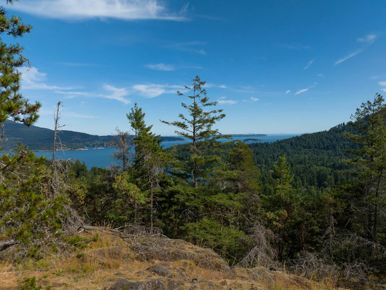 520 Collins Road, Bowen Island, BC, V0N 1G1 - 37