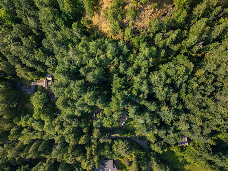 520 Collins Road, Bowen Island, BC, V0N 1G1 - 32