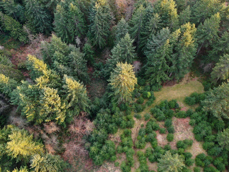 1481 Reed Road, Gibsons, BC, V0N 1V2 - 30