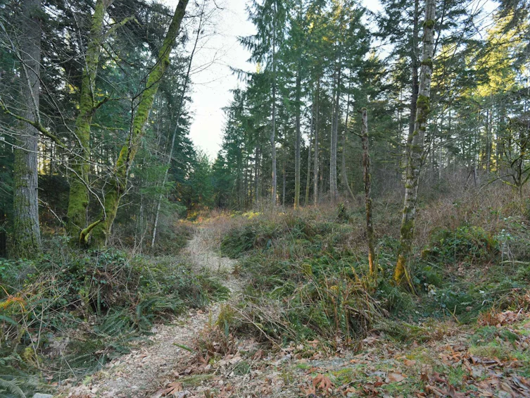 1481 Reed Road, Gibsons, BC, V0N 1V2 - 6