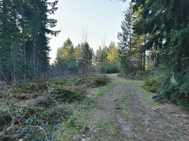 1481 Reed Road, Gibsons, BC, V0N 1V2 - 28