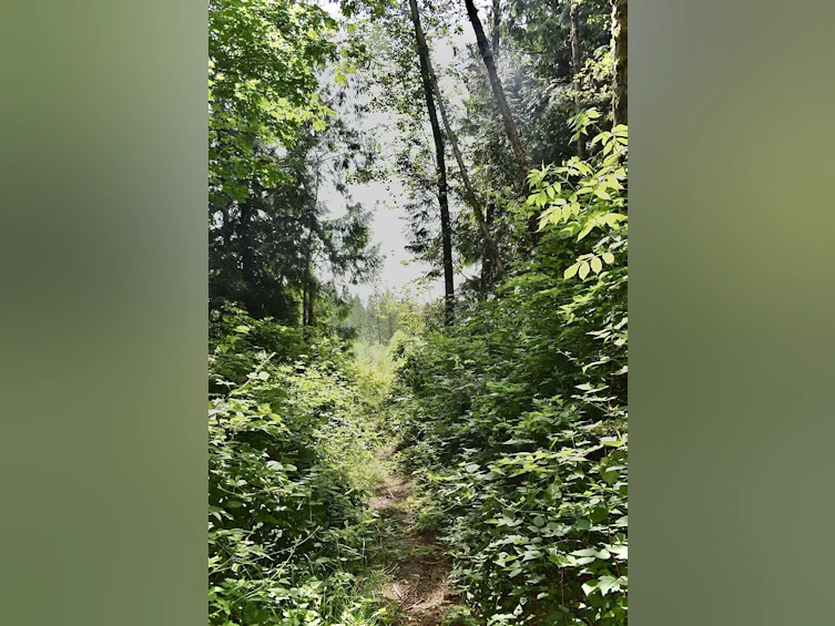 Lot 6 West Reed Road, Gibsons, BC, V0N 1V9 - 5