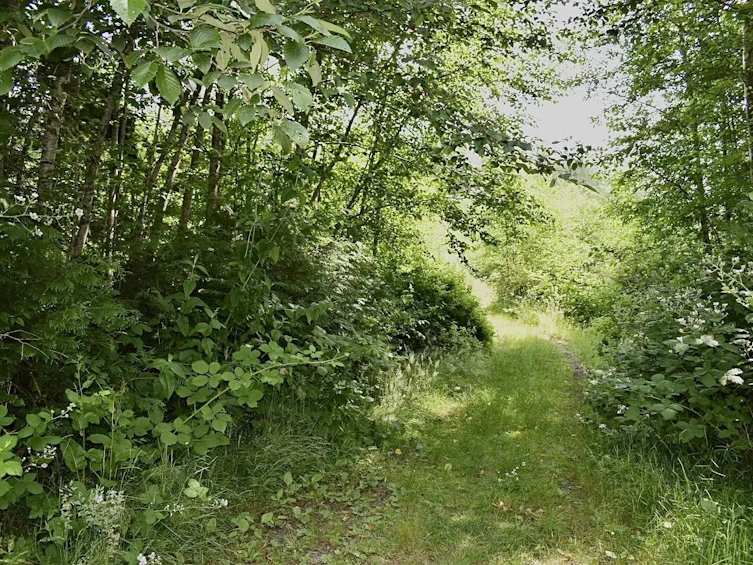 Lot 6 West Reed Road, Gibsons, BC, V0N 1V9 - 8