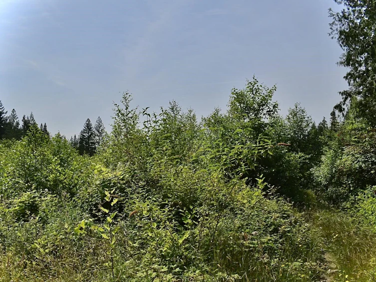 Lot 6 West Reed Road, Gibsons, BC, V0N 1V9 - 15