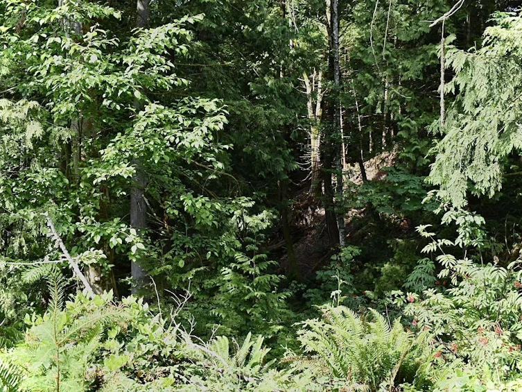 Lot 6 West Reed Road, Gibsons, BC, V0N 1V9 - 16