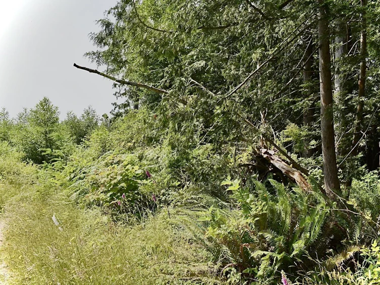 Lot 6 West Reed Road, Gibsons, BC, V0N 1V9 - 11