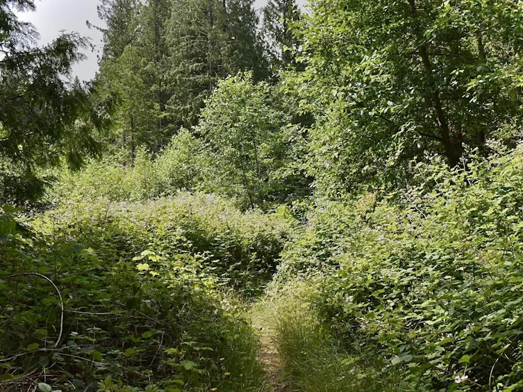 Lot 6 West Reed Road, Gibsons, BC, V0N 1V9 - 18