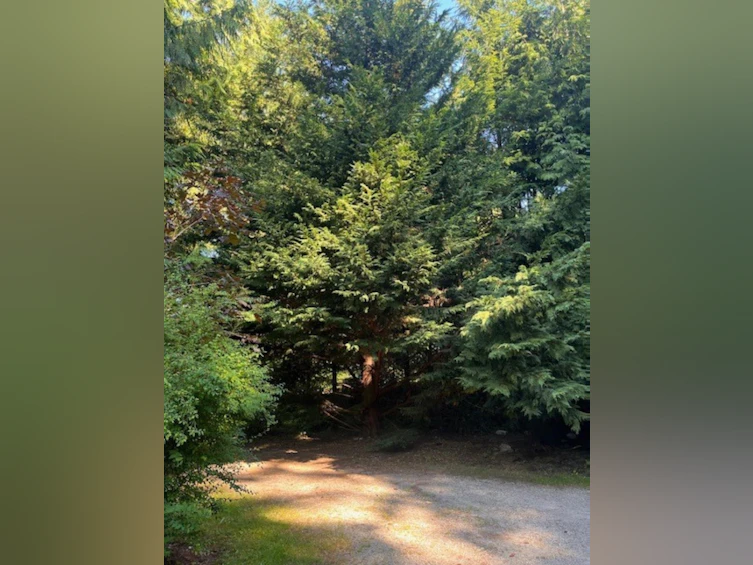 980 Woodley Road, Roberts Creek, BC, V0N 2W4 - 20