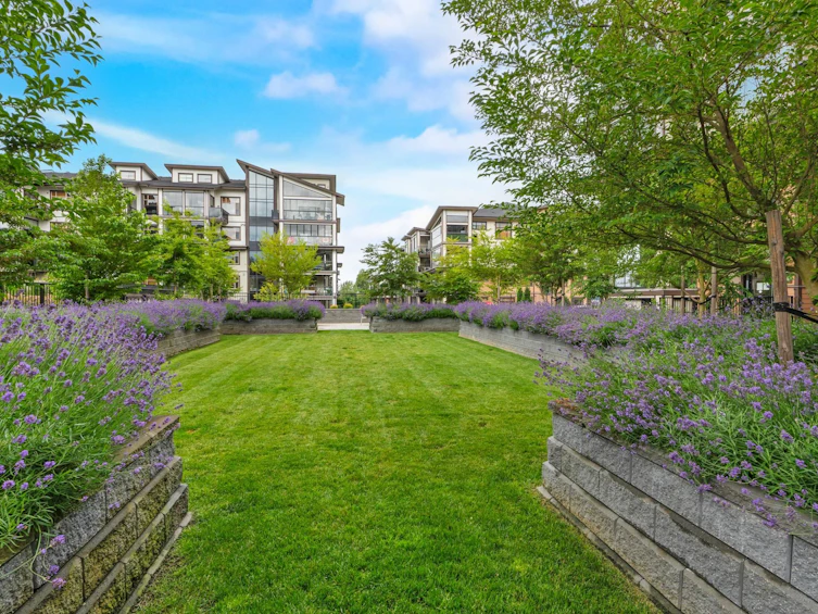505-8538 203a Street, Langley, BC, V2Y 3P9 - 31